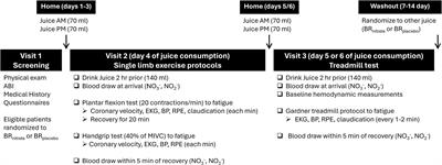 Effects of short-term dietary nitrate supplementation on exercise and coronary blood flow responses in patients with peripheral artery disease